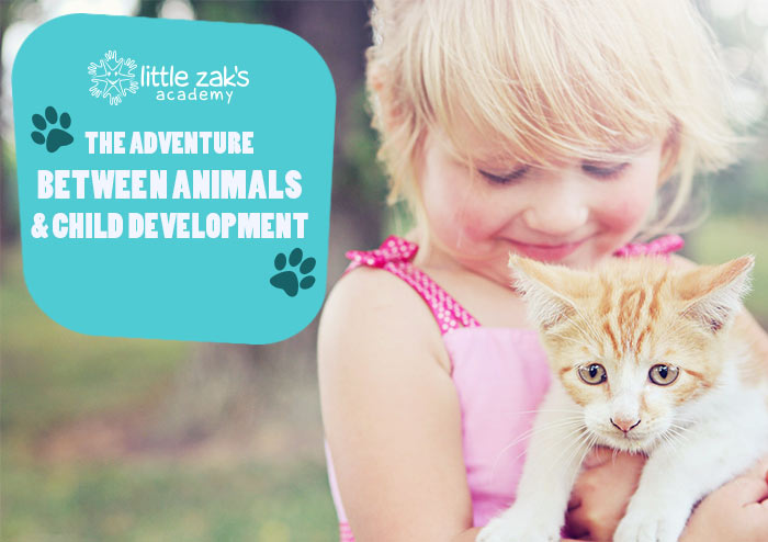 Little Zak's Academy | The Adventure Between Animals and Child Development