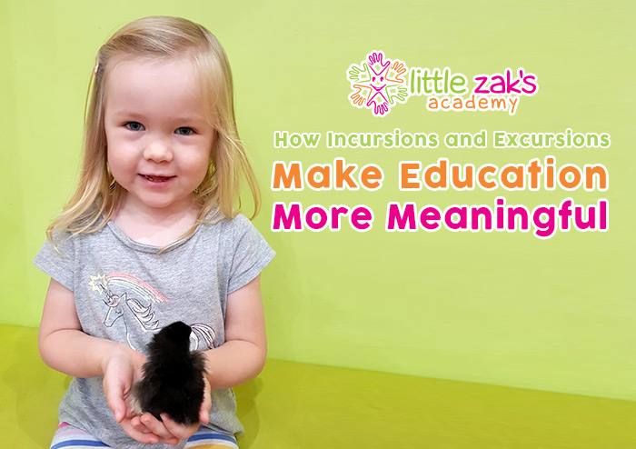 Little Zak's Academy | How Incursions and Excursions Make Education More Meaningful