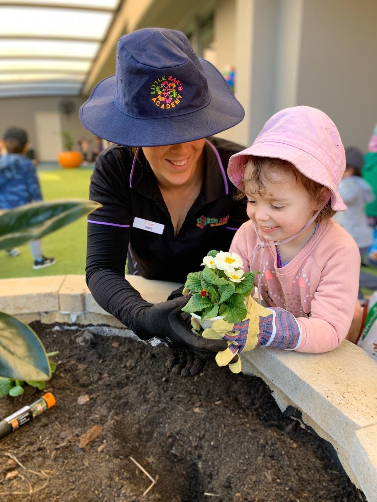 Little Zak's Academy | Garden Project at Little Zak’s Academy Brookvale
