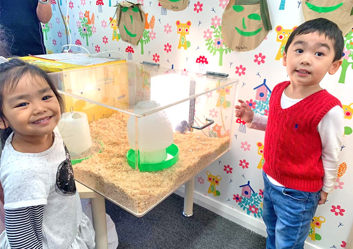 Little Zak's Academy | How Incursions and Excursions Make Education More Meaningful Little Zak's Academy | How Incursions and Excursions Make Education More Meaningful