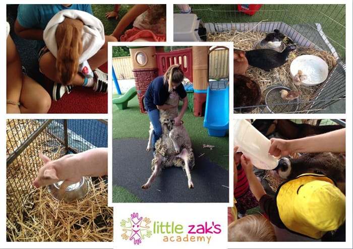 Little Zak's Academy | How to Raise a Science-Loving Child Little Zak's Academy | How to Raise a Science-Loving Child