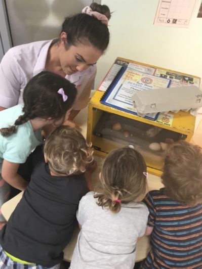 Little Zak's Academy | Easter Chicken Hatching Little Zak's Academy | Easter Chicken Hatching