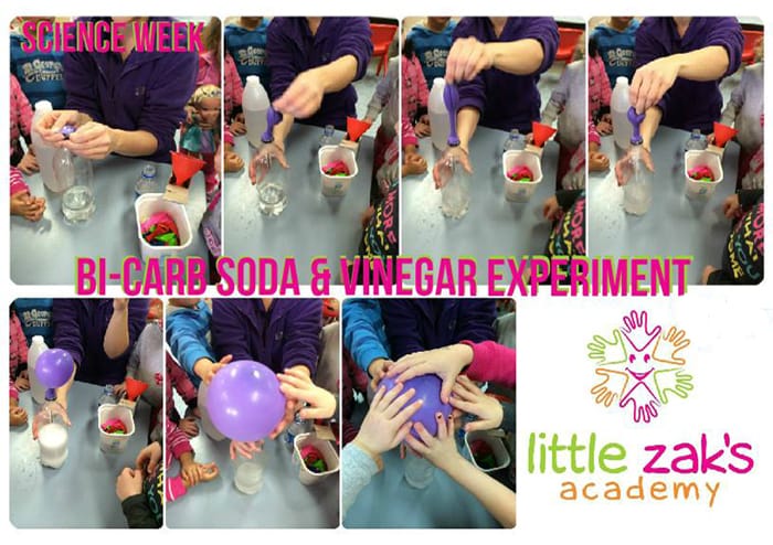 Little Zak's Academy | How to Raise a Science-Loving Child Little Zak's Academy | How to Raise a Science-Loving Child