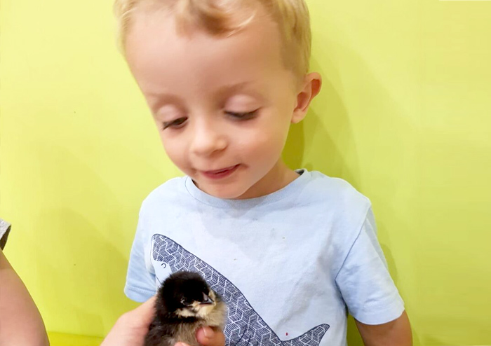 Little Zak's Academy | How Incursions and Excursions Make Education More Meaningful Little Zak's Academy | How Incursions and Excursions Make Education More Meaningful
