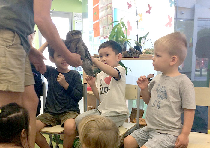 Little Zak's Academy | How Incursions and Excursions Make Education More Meaningful Little Zak's Academy | How Incursions and Excursions Make Education More Meaningful