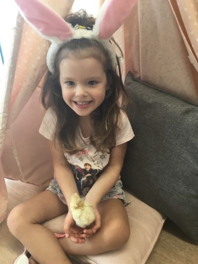 Little Zak's Academy | Easter Chicken Hatching Little Zak's Academy | Easter Chicken Hatching