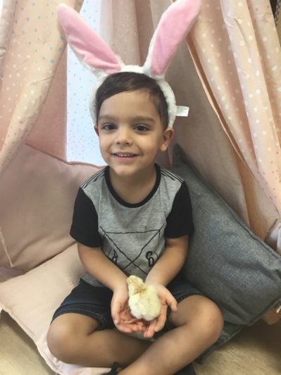 Little Zak's Academy | Easter Chicken Hatching Little Zak's Academy | Easter Chicken Hatching