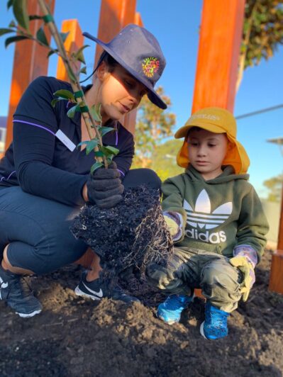 Little Zak's Academy | Garden Project at Little Zak’s Academy Brookvale Little Zak's Academy | Garden Project at Little Zak’s Academy Brookvale